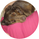 cristin stevens profile picture